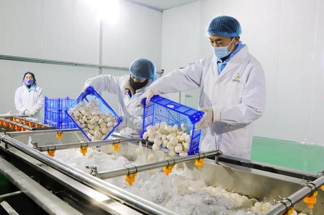 制種,草畜,蔬菜,特色林果,食用菌等特色優勢產業  ,  不斷培育壯大