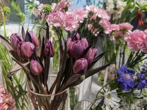 上海鮮花市場(chǎng)有多火 花店老板忙通宵,花卉基地產(chǎn)量翻三倍,新品種爆單