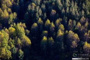 綠色延慶到底是個怎樣的存在