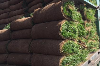 吐魯番林木產品信息_吐魯番企業產品分類信息_吐魯番百業搜