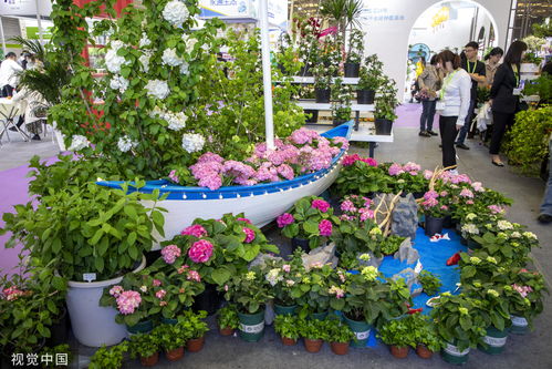 中國國際花卉園藝展覽會(huì)在上海舉行