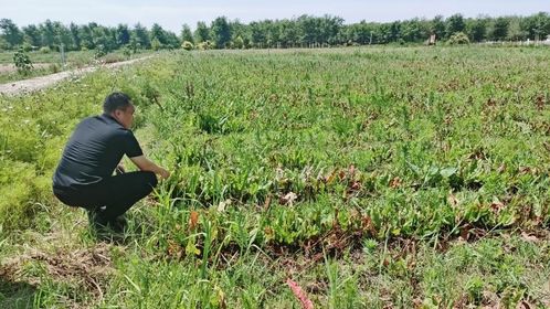 綠水青山 算 身價 恒豐銀行巧用gep核算報告助力企業破解融資難題