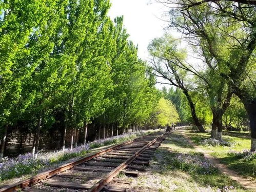 鮮為人知的免費公園,野趣天然,精致獨特,就在朝陽區