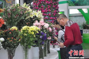 2017中國 東盟博覽會林木展開幕