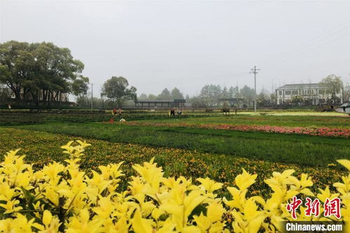 南昌培育都市休閑農(nóng)業(yè)精品 去年吸引1300余萬人次到鄉(xiāng)村休閑度假鳳凰網(wǎng)江西 鳳凰網(wǎng)