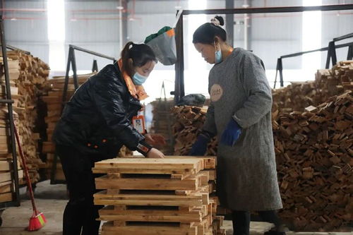 貴州錦屏年產(chǎn)20萬方木制品加工廠重大項(xiàng)目建設(shè)有序推進(jìn)