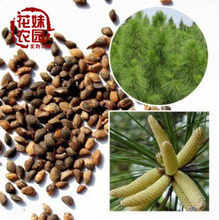 【花妹苗木】最新最全花妹苗木 產品參考信息