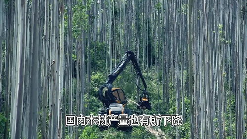 2021年廣西林木總產值破8000億元,gdp為2.4萬億元