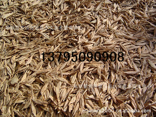 糖槭種子,林木種子、造林種子、種子市場行情_農副產品_世界工廠網