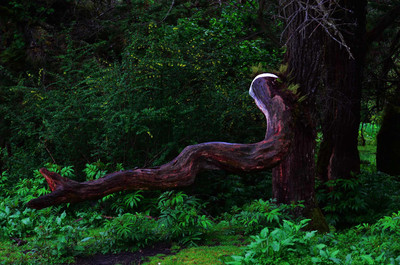 閑凈154140122767150