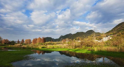 多措并舉助力生態(tài)環(huán)境修復(fù) 助推貴陽環(huán)城林帶提質(zhì)升級(jí)