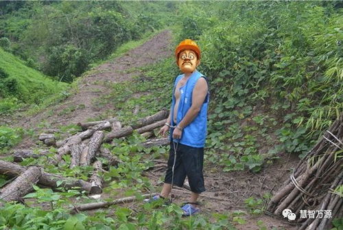 萬源石塘鎮(zhèn)一村民濫伐林木,承擔(dān)刑事責(zé)任后還要