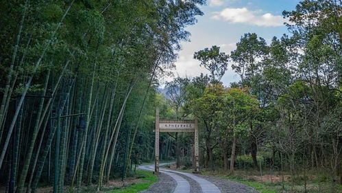 五一 趣 哪玩 五個一 百花大會帶你玩轉(zhuǎn)富陽