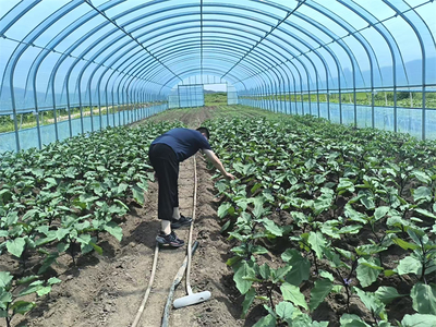 哈爾濱 冰雪之都的盆景藝術