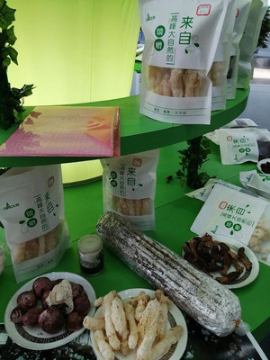 林木展上，這些實惠的林下經濟產品讓人眼饞——以盆景為例